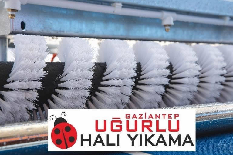uğurlu halı yıkama